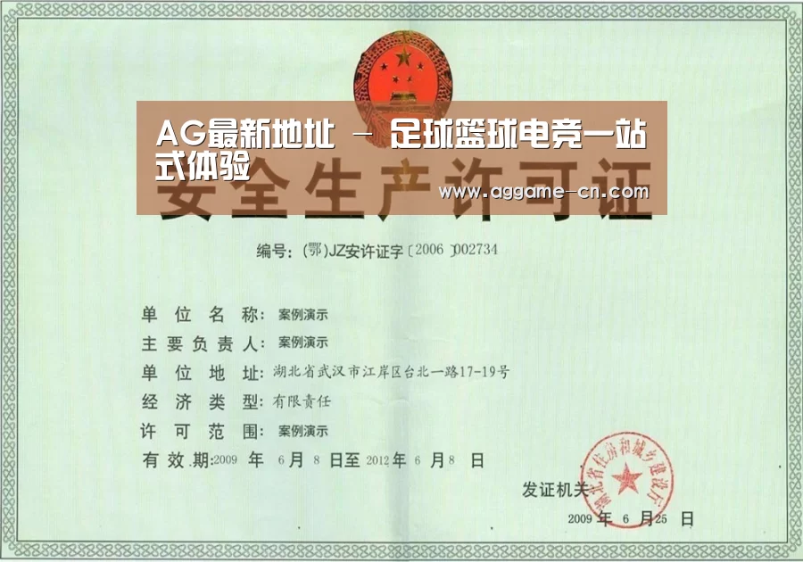 AG官方荣誉证书三